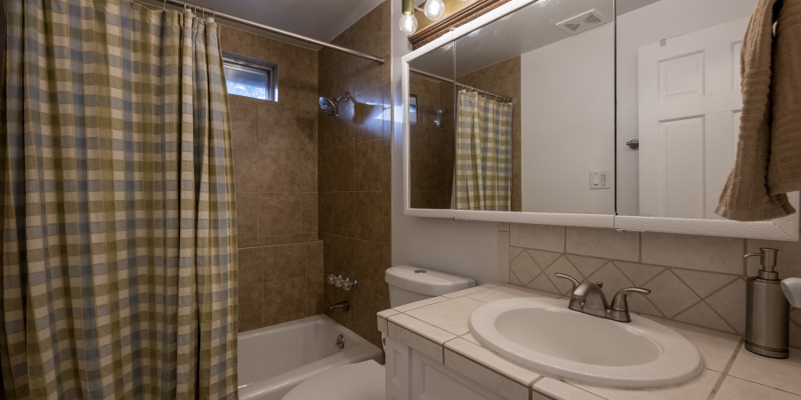 Bathroom with shower & toilet in the distance; large vanity mirror & sink to the right.