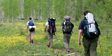 Four hikers in the remote San Juan National Forest.